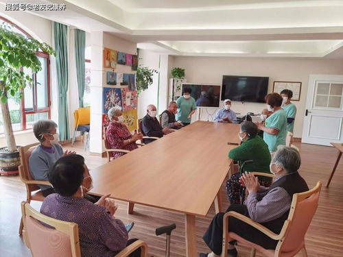 香港長(zhǎng)者為何青睞珠海 大灣區(qū)養(yǎng)老的智慧選擇與煙臺(tái)教育咨詢服務(wù)的啟示